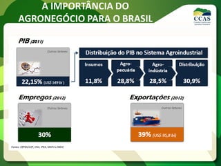 A IMPORTÂNCIA DO
AGRONEGÓCIO PARA O BRASIL
 