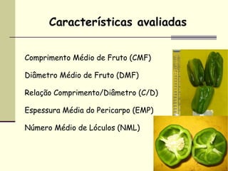 Características avaliadas


Comprimento Médio de Fruto (CMF)

Diâmetro Médio de Fruto (DMF)

Relação Comprimento/Diâmetro (C/D)

Espessura Média do Pericarpo (EMP)

Número Médio de Lóculos (NML)
 