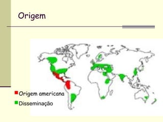 Origem




Origem americana
Disseminação
 