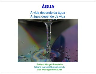 ÁGUA
A vida depende da água
A água depende da vida




     Fabiana Mongeli Peneireiro
  fabiana_agroeco@yahoo.com.br
      site: www.agrofloresta.net
 