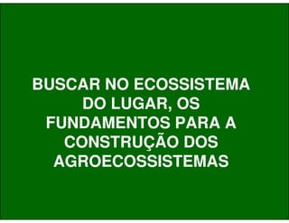 Agrofloresta