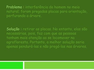Problema : interferência do homem no meio
natural; foram pregadas placas para orientação,
perfurando a árvore.
Solução : retirar as placas. No entanto, elas são
necessárias, pois, faz com que as pessoas
tenham mais atenção ao se locomover na
agrofloresta. Portanto, a melhor solução seria
apenas pendurá-las e não pregá-las nas árvores.
 
