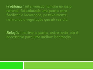 Problema : intervenção humana no meio
natural; foi colocada uma ponte para
facilitar a locomoção, possivelmente,
retirando a vegetação que ali residia.
Solução : retirar a ponte, entretanto, ela é
necessária para uma melhor locomoção.
 