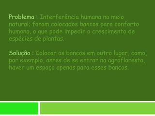 Problema : Interferência humana no meio
natural; foram colocados bancos para conforto
humano, o que pode impedir o crescimento de
espécies de plantas.
Solução : Colocar os bancos em outro lugar, como,
por exemplo, antes de se entrar na agrofloresta,
haver um espaço apenas para esses bancos.
 