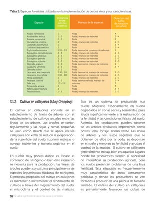 3838manual de agroforestería para zonas secas y semiáridas
3.1.2 Cultivo en callejones (Alley Cropping)3.1.2 Cultivo en callejones (Alley Cropping)
El cultivo en callejones consiste en el
establecimiento de líneas de árboles con el
establecimiento de cultivos anuales entre las
líneas de los árboles. Los árboles se cortan
regularmente y las hojas y ramas pequeñas
se usan como mulch que se aplica en los
callejones con el ﬁn de reducir la evaporación
de la superﬁcie del suelo, suprimir malezas o
agregar nutrientes y materia orgánica en el
suelo.
En suelos muy pobres donde es escaso el
contenido de nitrógeno o bien éste elemento
se necesita para la producción, las líneas de
árboles pueden constituirse principalmente de
especies leguminosas ﬁjadoras de nitrógeno.
El principal propósito del cultivo en callejones
es mantener o incrementar el rendimiento de
cultivos a través del mejoramiento del suelo,
el microclima y el control de las malezas.
Este es un sistema de producción que
puede adaptarse especialmente en suelos
degradados en zonas secas y semiáridas, pues
ayuda signiﬁcativamente a la restauración de
la fertilidad y las condiciones físicas del suelo.
Además, los productores pueden obtener
de los árboles productos importantes como
postes, leña, forraje, abono verde. Las líneas
de árboles y los restos vegetales que se
obtienen de ellos por la poda, se depositan
en el suelo y mejoran su fertilidad y ayudan al
control de la erosión. El cultivo en callejones
generalmente trabaja bien en aquellos lugares
donde los productores sienten la necesidad
de intensiﬁcar su producción agrícola, pero
los suelos presentan problemas de una baja
fertilidad. Esta situación es frecuentemente
muy característica de áreas densamente
pobladas y donde los productores se ven
forzados a producir en una parcela de tamaño
limitado. El énfasis del cultivo en callejones
es primariamente favorecer un ciclaje de
Tabla 5.Tabla 5. Especies forestales utilizadas en la implementación de cercos vivos y sus características.
 
