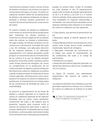 3939manual de agroforestería para zonas secas y semiáridas
nutrimientos y producir mulch; a la vez, la línea
de árboles constituye una barrera viva para la
conservación del agua y el suelo. El cultivo en
callejones también diﬁere de las plantaciones
de árboles y de especies herbáceas en diques,
acequias y terrazas, porque usualmente no
requiere de estructuras físicas de conservación
de suelos.
En cuanto a diseño, los árboles se establecen
como líneas en los terrenos de los productores
para maximizar los efectos positivos y
minimizar los efectos negativos de los árboles
sobre los cultivos, su manejo y rendimiento.
Sin lugar a dudas, los árboles compiten con los
cultivos por nutrimientos, humedad del suelo
y luz. Sin embargo, una adecuada selección
de las especies arbóreas, a un adecuado
espaciamiento, con manejo apropiado, puede
producir un incremento neto en el rendimiento
de los cultivos. A la vez, los árboles proveen
productos como leña, postes, hojarasca, abono
verde, forraje, ﬁjación de nitrógeno, etc. como
un complemento en la producción de los
cultivos anuales. En algunos casos la utilización
del sistema de cultivo en callejones se justiﬁca
cuando se desea mejorar el rendimiento de los
cultivos agrícolas; mientras que en otros casos,
quizás en la mayoría, el cultivo en callejones se
justiﬁca por el mejoramiento en el largo plazo
de las condiciones de fertilidad de suelo y la
sostenibilidad.
La posición y espaciamiento de las líneas de
árboles y cultivos agrícolas en el sistema de
cultivo en callejones depende de las especies
forestales, tipo de cultivo, clima, pendiente,
condiciones del suelo y del espacio que el
productor requiere para moverse entre el
sistema de producción para llevar a cabo su
manejo. Idealmente, es deseable que las líneas
de árboles y cultivo puedan estar posicionadas
enlaorientacióneste-oesteparaquelasplantas
puedan en ambos lados, recibir la completa
luz solar durante el día. El espaciamiento
usado entre la líneas de árboles generalmente
va de 4 a 8 metros y de 0.25 m a 2 metros
entre los árboles. Estos espaciamientos son los
más empleados en regiones subhúmedas y
semiáridas. Las características deseables de las
especies arbóreas para utilizarse en el sistema
de cultivo en callejones son las siguientes:
• Copa abierta, que permita la penetración de
luz
• Respuesta rápida al rebrote después de la
poda
• Capacidad de producir otros productos como
postes, leña, forraje, abono verde, productos
medicinales, ﬁjación de nitrógeno.
• Adecuado contenido de nutrimentos en
el follaje que ayude al mejoramiento de
las condiciones del suelo y el ciclaje de
nutrimentos.
• Resistencia a la sequía
• Desarrollo del sistema radicular profundo, no
lateral para disminuir efectos de competencia
con los cultivos.
La ﬁgura 10 muestra una represtación
esquemática del sistema de cultivo en
callejones.
Las especies arbóreas más utilizadas y que han
generado experiencias exitosas con el sistema
de cultivo en callejones se indican en la tabla
6.
Ver “Figura 10. Representación Esquemática de
Cultivo en Callejones” en la página 40.
 