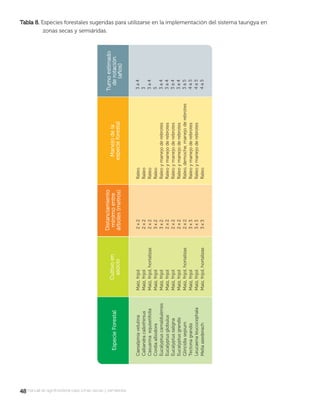 4848manual de agroforestería para zonas secas y semiáridas
Tabla 8.Tabla 8. Especies forestales sugeridas para utilizarse en la implementación del sistema taungya en
zonas secas y semiáridas.
 