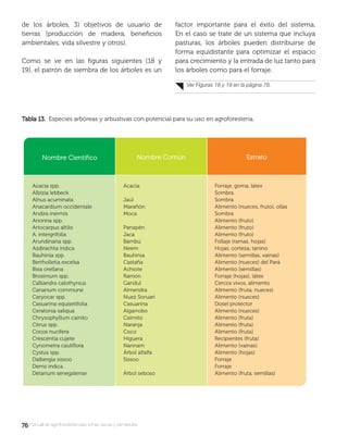 7676 manual de agroforestería para zonas secas y semiáridas
Tabla 13.Tabla 13. Especies arbóreas y arbustivas con potencial para su uso en agroforestería.
de los árboles, 3) objetivos de usuario de
tierras (producción de madera, beneﬁcios
ambientales, vida silvestre y otros).
Como se ve en las ﬁguras siguientes (18 y
19), el patrón de siembra de los árboles es un
factor importante para el éxito del sistema.
En el caso se trate de un sistema que incluya
pasturas, los árboles pueden distribuirse de
forma equidistante para optimizar el espacio
para crecimiento y la entrada de luz tanto para
los árboles como para el forraje.
Ver Figuras 18 y 19 en la página 78.
 