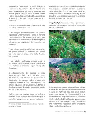 8787manual de agroforestería para zonas secas y semiáridas
tratamientos periódicos; el cual integra la
producción del sistema de tal forma que
una misma parcela de cultivo provea a una
familia granos básicos, leña, madera, forraje
y otros productos no maderables, además de
la proteccion del suelo y agua como servicio
ambiental.
El sistema esta constituido por tres estratos de
cobertura al suelo que son:
• Los rastrojos de cosechas anteriores que son
esparcidos uniformemente sobre el terreno
y posteriormente incorporados al suelo para
incrementar su contenido de materia orgánica
así como su capacidad de retención de
humedad.
• Los cultivos anuales producidos que pueden
ser granos básicos y hortalizas en asocio,
los cuales aportan el sustento de las familias
campesinas.
• Los árboles multiusos, regularmente se
usa madre cacao aunque puede combinarse
con frutales e inclusive algún Campeche
(Prosopis).
El establecimiento del sistema, se inicia
entre marzo y abril cuando se seleccionan
los terrenos para realizar el guataleo y la
distribución del rastrojo sobre la superﬁcie.
Luego se procede al trazo y estaquillado del
terreno siguiendo las curvas de nivel, donde se
siembran estacas de madre cacao distribuidas
de una forma dispersa.
En los meses de mayo y junio, se realiza la
siembra de los cultivos seleccionados por el
agricultor, que pueden ser granos básicos en
31. Limpieza de toda la biomasa acumulada durante un periodo
sin uso de una parcela.
monocultivooasociouhortalizasdependiendo
de su capacidad económica. Como se observa
en la fotografías 7 y 8, esta etapa debe ser
acompañada de la asistencia técnica y labores
decultivonecesariasparaasegurareldesarrollo
del sistema hasta su cosecha.
Al año siguiente, tras un primer ciclo de cultivo,
seprocedealalimpiadelterreno,dejandosobre
el suelo los rastrojos para que estos inicien
su proceso natural de descomposición y se
aporten materia orgánica al suelo. Además de
ello, los árboles de Gliricidia deben podarse para
aprovechar la biomasa producida, obteniendo
leña, varas, trozas y postes así como abundante
follaje que fertilizará el suelo.
Fotografías 7 y 8.Fotografías 7 y 8. Parcelas de cultivo bajo el sistema
Kuxur rum manejadas por campesinos en corredor
seco de Guatemala.
 
