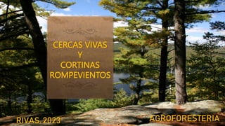 CERCAS VIVAS
Y
CORTINAS
ROMPEVIENTOS
AGROFORESTERIA
RIVAS, 2023
 