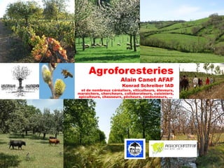 Agroforesteries
Alain Canet AFAF
Konrad Schreiber IAD
et de nombreux céréaliers, viticulteurs, éleveurs,
maraîchers, chercheurs, collaborateurs, cuisiniers,
apiculteurs, chasseurs, pêcheurs, randonneurs, …
 
