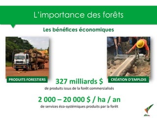 L’importance des forêts
PRODUITS FORESTIERS
Les bénéfices économiques
CRÉATION D’EMPLOIS
327 milliards $
de produits issus...
