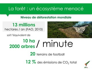 La forêt : un écosystème menacé
13 millions
hectares / an (FAO, 2010)
10 ha
2000 arbres
20 terrains de football
12 % des é...