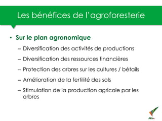 Les bénéfices de l’agroforesterie
• Sur le plan agronomique
– Diversification des activités de productions
– Diversificati...