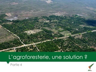 L’agroforesterie, une solution ?
Partie 4
 