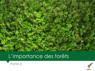 L’importance des forêts
Partie 2
 