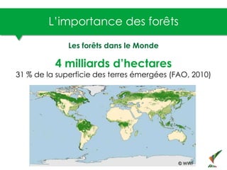 Les forêts dans le Monde
4 milliards d’hectares
31 % de la superficie des terres émergées (FAO, 2010)
L’importance des for...