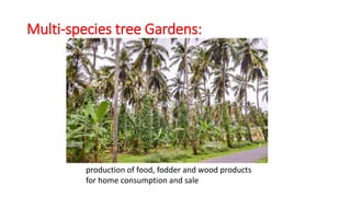 AGRO FORESTRY.pptx agriculture agro forest | PPTX