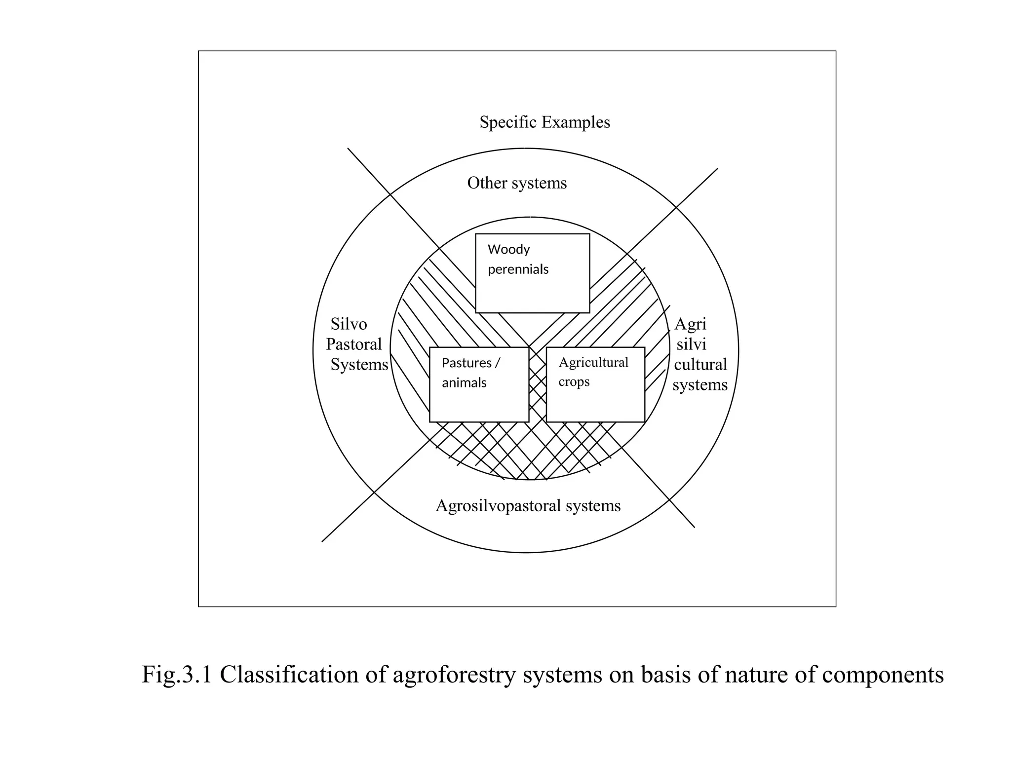 Agro forestry , definition and importance | PPTX