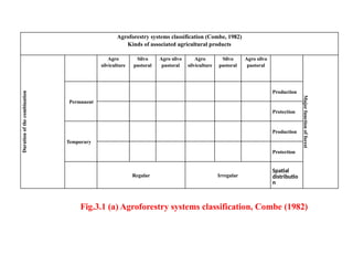 Agroforestry systems classification (Combe, 1982)
Kinds of associated agricultural products
Duration
of
the
combination
Agro
silviculture
Silvo
pastoral
Agro silvo
pastoral
Agro
silviculture
Silvo
pastoral
Agro silvo
pastoral
Major
function
of
forest
Permanent
Production
Protection
Temporary
Production
Protection
Regular Irregular
Spatial
distributio
n
Fig.3.1 (a) Agroforestry systems classification, Combe (1982)
 