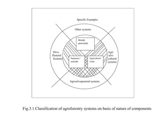 Specific Examples
Other systems
Silvo Agri
Pastoral silvi
Systems cultural
systems
Agrosilvopastoral systems
Woody
perennials
Pastures /
animals
Agricultural
crops
Fig.3.1 Classification of agroforestry systems on basis of nature of components
 