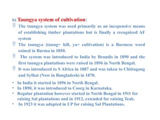 b) Taungya system of cultivation:
 The taungya system was used primarily as an inexpensive means
of establishing timber plantations but is finally a recognized AF
system
 The taungya (taung= hill, ya= cultivation) is a Burmese word
coined in Burma in 1850.
 The system was introduced to India by Brandis in 1890 and the
first taungya plantations were raised in 1896 in North Bengal.
 It was introduced to S Africa in 1887 and was taken to Chittagong
and Sylhat (Now in Bangladesh) in 1870.
• In India it started in 1896 in North Bengal.
• In 1890, it was introduced to Coorg in Karnataka.
• Regular plantation however started in North Bengal in 1911 for
raising Sal plantations and in 1912, extended for raising Teak.
• In 1923 it was adopted in UP for raising Sal Plantations.
 