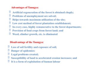 Advantages of Taungya:
 Artificial regeneration of the forest is obtained chaply;
 Problems of unemployment are solved;
 Helps towards maximum utilization of the site;
 Low cost method of forest plantation establishment;
 In every case, highly remunerative to the forest departments;
 Provision of food crops from forest land; and
 Weed, climber growth, etc. is eliminated
Disadvantage of the Taungya:
 Loss of soil fertility and exposure of soil;
 Danger of epidemics:
 Legal problems created;
 Susceptibility of land to accelerated erosion increases; and
 It is a form of exploitation of human labour
 