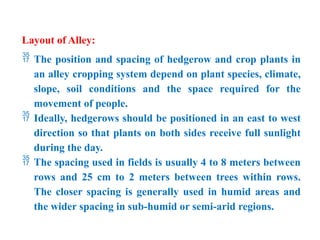 Layout of Alley:
 The position and spacing of hedgerow and crop plants in
an alley cropping system depend on plant species, climate,
slope, soil conditions and the space required for the
movement of people.
 Ideally, hedgerows should be positioned in an east to west
direction so that plants on both sides receive full sunlight
during the day.
 The spacing used in fields is usually 4 to 8 meters between
rows and 25 cm to 2 meters between trees within rows.
The closer spacing is generally used in humid areas and
the wider spacing in sub-humid or semi-arid regions.
 
