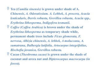  Tea (Camilia sinensis) is grown under shade of A.
Chinensis, A. Odoratissium. A. Lebbek, A. procera, Acacia
lenticularis, Derris robusta, Grevillea robusta, Acacia spp.,
Erythrina lithosperma, Indigofera tesmanii.
 Coffee (Coffea Arabica) is brown under the shade of
Erythrina lithosperma as temporary shade while,
permanent shade trees include Ficus glomerata, F.
nervosa, Albizia chinensis, A. lebbek, A moluccana, A.
sumatrana, Dalbergia latifolia, Artocarpus integrifolius,
Bischofia javanica, Grevillea robusta.
 Cacao (Theobroma cacao) is grown under the shade of
coconut and areca nut and Dipterocarpus macrocarpa (in
forest).
 