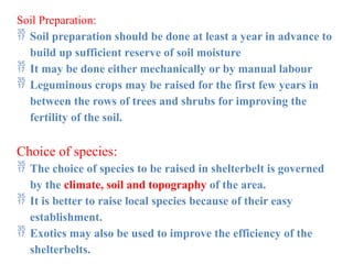Soil Preparation:
 Soil preparation should be done at least a year in advance to
build up sufficient reserve of soil moisture
 It may be done either mechanically or by manual labour
 Leguminous crops may be raised for the first few years in
between the rows of trees and shrubs for improving the
fertility of the soil.
Choice of species:
 The choice of species to be raised in shelterbelt is governed
by the climate, soil and topography of the area.
 It is better to raise local species because of their easy
establishment.
 Exotics may also be used to improve the efficiency of the
shelterbelts.
 