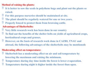 Method of raising the plants:
 It is better to sow the seeds in polythene bags and plant out the plants so
raised.
 For this purpose nurseries should be maintained at site.
 The plant should be regularly watered for one or two years.
 Properly fenced to protect them from browsing cattle.
Advantages of Shelterbelts:
 Very little research work has been done in our country
 To find out the benefits of the shelter belts on yields of agricultural crops,
horticultural crops and grasses.
 However, on the basis of research work done in CAZRI, TNAU and
abroad, the following advantages of the shelterbelts may be mentioned:
Moderating effect on temperature:
 Shelterbelt has a moderating effect on air and soil temperature by
lowering the maximum and raising the minimum.
 Temperature during day time inside the forest is lower evaporation.
 Temperature during night is higher inside the forest than open.
 