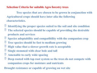 Selection Criteria for suitable Agro forestry trees
Tree species that are chosen to be grown in conjunction with
Agricultural crops should have inter alia the following
characteristics.
 Identifying the proper species suited to the soil and site condition
 The selected species should be capable of providing the desirable
products and services
 Species adoptability and compatibility with the companion crop
 Tree species should be fast to medium growing
 High value that a slower growth rate is acceptable
 Single stemmed with clear bole and tall
 Amenable to early wide spacing
 Deep rooted with tap root system so the trees do not compete with
companion crops for moisture and nutrients
Drought resistance or capable of growing on wet site
 