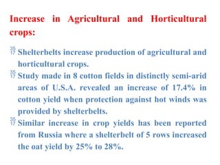 Increase in Agricultural and Horticultural
crops:
 Shelterbelts increase production of agricultural and
horticultural crops.
 Study made in 8 cotton fields in distinctly semi-arid
areas of U.S.A. revealed an increase of 17.4% in
cotton yield when protection against hot winds was
provided by shelterbelts.
 Similar increase in crop yields has been reported
from Russia where a shelterbelt of 5 rows increased
the oat yield by 25% to 28%.
 