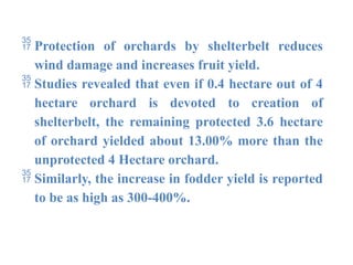  Protection of orchards by shelterbelt reduces
wind damage and increases fruit yield.
 Studies revealed that even if 0.4 hectare out of 4
hectare orchard is devoted to creation of
shelterbelt, the remaining protected 3.6 hectare
of orchard yielded about 13.00% more than the
unprotected 4 Hectare orchard.
 Similarly, the increase in fodder yield is reported
to be as high as 300-400%.
 