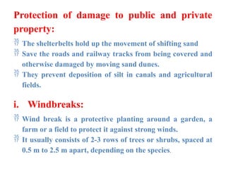 Protection of damage to public and private
property:
 The shelterbelts hold up the movement of shifting sand
 Save the roads and railway tracks from being covered and
otherwise damaged by moving sand dunes.
 They prevent deposition of silt in canals and agricultural
fields.
i. Windbreaks:
 Wind break is a protective planting around a garden, a
farm or a field to protect it against strong winds.
 It usually consists of 2-3 rows of trees or shrubs, spaced at
0.5 m to 2.5 m apart, depending on the species.
 