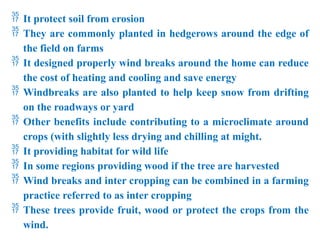  It protect soil from erosion
 They are commonly planted in hedgerows around the edge of
the field on farms
 It designed properly wind breaks around the home can reduce
the cost of heating and cooling and save energy
 Windbreaks are also planted to help keep snow from drifting
on the roadways or yard
 Other benefits include contributing to a microclimate around
crops (with slightly less drying and chilling at might.
 It providing habitat for wild life
 In some regions providing wood if the tree are harvested
 Wind breaks and inter cropping can be combined in a farming
practice referred to as inter cropping
 These trees provide fruit, wood or protect the crops from the
wind.
 