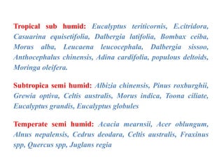 Tropical sub humid: Eucalyptus teriticornis, E.citridora,
Casuarina equisetifolia, Dalbergia latifolia, Bombax ceiba,
Morus alba, Leucaena leucocephala, Dalbergia sissoo,
Anthocephalus chinensis, Adina cardifolia, populous deltoids,
Moringa oleifera.
Subtropica semi humid: Albizia chinensis, Pinus roxburghii,
Grewia optiva, Celtis australis, Morus indica, Toona ciliate,
Eucalyptus grandis, Eucalyptus globules
Temperate semi humid: Acacia mearnsii, Acer oblungum,
Alnus nepalensis, Cedrus deodara, Celtis australis, Fraxinus
spp, Quercus spp, Juglans regia
 