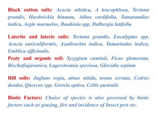 Black cotton soils: Acacia nilotica, A leucophloea, Tectona
grandis, Hardwickia binnata, Adina cardifolia, Tamarandius
indica, Aegle marmelos, Bauhinia spp, Dalbergia latifolia
Laterite and lateric soils: Tectona grandis, Eucalyptus spp,
Acacia auriculiformis, Azadirachta indica, Tamarindus indica,
Emblica officinalis.
Peaty and organic soil: Syzygium cuminii, Ficus glomerata,
Bischofiajavanica, Lagerstromia speciosa, Glircidia sepium
Hill soils: Juglans regia, alnus nitida, toona serrata, Cedrus
deodar, Quercus spp, Grewia optiva, Celtis australis
Biotic Factors: Choice of species is also governed by biotic
factors such as grazing, fire and incidence of Insect pest etc.
 