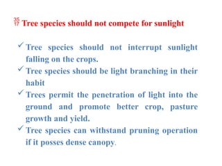  Tree species should not compete for sunlight
Tree species should not interrupt sunlight
falling on the crops.
Tree species should be light branching in their
habit
Trees permit the penetration of light into the
ground and promote better crop, pasture
growth and yield.
Tree species can withstand pruning operation
if it posses dense canopy.
 