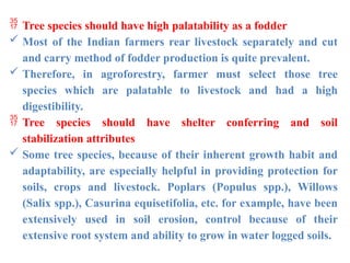  Tree species should have high palatability as a fodder
 Most of the Indian farmers rear livestock separately and cut
and carry method of fodder production is quite prevalent.
 Therefore, in agroforestry, farmer must select those tree
species which are palatable to livestock and had a high
digestibility.
 Tree species should have shelter conferring and soil
stabilization attributes
 Some tree species, because of their inherent growth habit and
adaptability, are especially helpful in providing protection for
soils, crops and livestock. Poplars (Populus spp.), Willows
(Salix spp.), Casurina equisetifolia, etc. for example, have been
extensively used in soil erosion, control because of their
extensive root system and ability to grow in water logged soils.
 