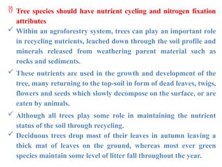  Tree species should have nutrient cycling and nitrogen fixation
attributes
 Within an agroforestry system, trees can play an important role
in recycling nutrients, leached down through the soil profile and
minerals released from weathering parent material such as
rocks and sediments.
 These nutrients are used in the growth and development of the
tree, many returning to the top-soil in form of dead leaves, twigs,
flowers and seeds which slowly decompose on the surface, or are
eaten by animals.
 Although all trees play some role in maintaining the nutrient
status of the soil through recycling.
 Deciduous trees drop most of their leaves in autumn leaving a
thick mat of leaves on the ground, whereas most ever green
species maintain some level of litter fall throughout the year.
 