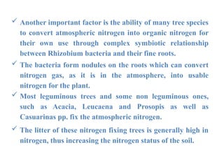  Another important factor is the ability of many tree species
to convert atmospheric nitrogen into organic nitrogen for
their own use through complex symbiotic relationship
between Rhizobium bacteria and their fine roots.
 The bacteria form nodules on the roots which can convert
nitrogen gas, as it is in the atmosphere, into usable
nitrogen for the plant.
 Most leguminous trees and some non leguminous ones,
such as Acacia, Leucaena and Prosopis as well as
Casuarinas pp. fix the atmospheric nitrogen.
 The litter of these nitrogen fixing trees is generally high in
nitrogen, thus increasing the nitrogen status of the soil.
 