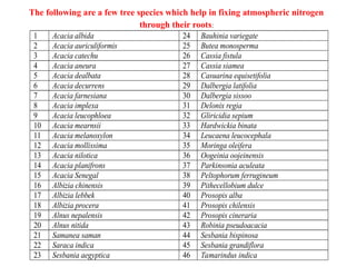 The following are a few tree species which help in fixing atmospheric nitrogen
through their roots:
1 Acacia albida 24 Bauhinia variegate
2 Acacia auriculiformis 25 Butea monosperma
3 Acacia catechu 26 Cassia fistula
4 Acacia aneura 27 Cassia siamea
5 Acacia dealbata 28 Casuarina equisetifolia
6 Acacia decurrens 29 Dalbergia latifolia
7 Acacia farnesiana 30 Dalbergia sissoo
8 Acacia implexa 31 Delonix regia
9 Acacia leucophloea 32 Gliricidia sepium
10 Acacia mearnsii 33 Hardwickia binata
11 Acacia melanoxylon 34 Leucaena leucocephala
12 Acacia mollissima 35 Moringa oleifera
13 Acacia nilotica 36 Oogeinia oojeinensis
14 Acacia planifrons 37 Parkinsonia aculeata
15 Acacia Senegal 38 Peltophorum ferrugineum
16 Albizia chinensis 39 Pithecellobium dulce
17 Albizia lebbek 40 Prosopis alba
18 Albizia procera 41 Prosopis chilensis
19 Alnus nepalensis 42 Prosopis cineraria
20 Alnus nitida 43 Robinia pseudoacacia
21 Samanea saman 44 Sesbania bispinosa
22 Saraca indica 45 Sesbania grandiflora
23 Sesbania aegyptica 46 Tamarindus indica
 