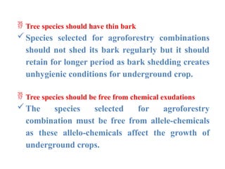  Tree species should have thin bark
Species selected for agroforestry combinations
should not shed its bark regularly but it should
retain for longer period as bark shedding creates
unhygienic conditions for underground crop.
 Tree species should be free from chemical exudations
The species selected for agroforestry
combination must be free from allele-chemicals
as these allelo-chemicals affect the growth of
underground crops.
 
