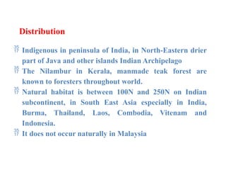 Distribution
 Indigenous in peninsula of India, in North-Eastern drier
part of Java and other islands Indian Archipelago
 The Nilambur in Kerala, manmade teak forest are
known to foresters throughout world.
 Natural habitat is between 100N and 250N on Indian
subcontinent, in South East Asia especially in India,
Burma, Thailand, Laos, Combodia, Vitenam and
Indonesia.
 It does not occur naturally in Malaysia
 