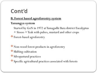 Cont’d
B. Forest based agroforestry system
Tanungya system
Started by GoN in 1972 atTamagadhi Bara district Eucalyptus
+ Sissoo +Teak with pulses, mustard and other crops
Forest-based agroforestry
Non-wood forest products in agroforestry
Shifting cultivation
Silvopastural practices
Specific agricultural practices associated with forests
 