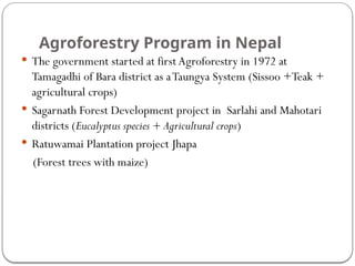 Agroforestry Program in Nepal
 The government started at first Agroforestry in 1972 at
Tamagadhi of Bara district as aTaungya System (Sissoo +Teak +
agricultural crops)
 Sagarnath Forest Development project in Sarlahi and Mahotari
districts (Eucalyptus species + Agricultural crops)
 Ratuwamai Plantation project Jhapa
(Forest trees with maize)
 