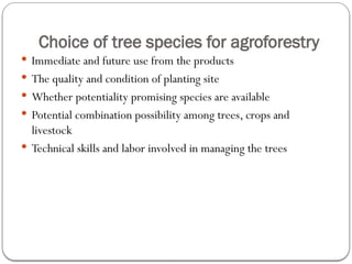 Choice of tree species for agroforestry
 Immediate and future use from the products
 The quality and condition of planting site
 Whether potentiality promising species are available
 Potential combination possibility among trees, crops and
livestock
 Technical skills and labor involved in managing the trees
 