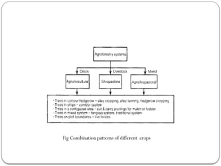 Fig Combination patterns of different crops
 