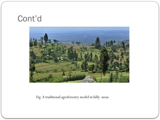 Cont’d
Fig A traditional agroforestry model in hilly areas
 